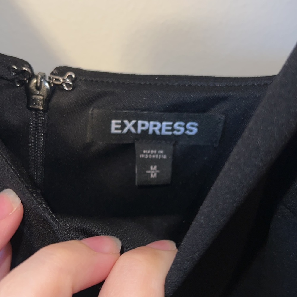 Express Dress - Picture 7 of 10